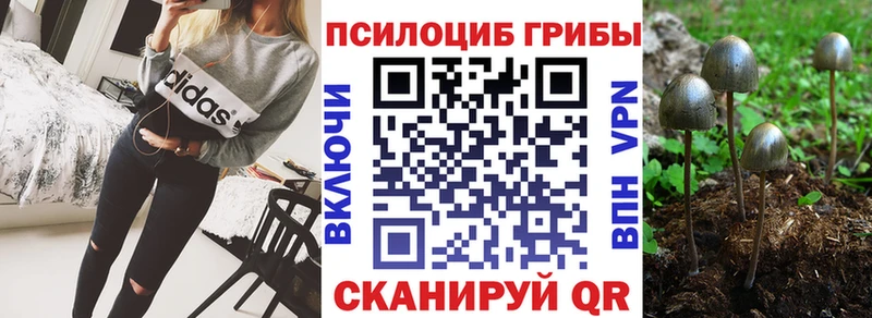 Псилоцибиновые грибы прущие грибы  Шебекино 